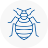 Bed Bug Extermination In Bredbury