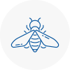 Bee Nest Removal Bredbury